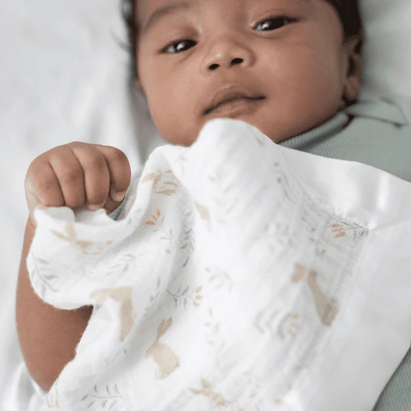 Aden +anais™ Musslin Knuffeldoekje 2-pack Blush Ing Bunnies 4 Aden +anais™ Musslin Knuffeldoekje 2-pack Blush Ing Bunnies - Afbeelding 2