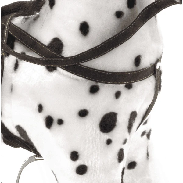 BAYER CHIC 2000 Schommelpaard CARLOTTA Wit Met Zwarte Stippen 5 BAYER CHIC 2000 Schommelpaard CARLOTTA Wit Met Zwarte Stippen - Afbeelding 3