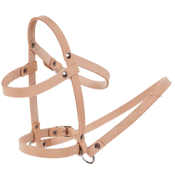 Helga Kreft Halster Voor Hobbelpaard Jolly Popcorn 3 Helga Kreft Halster Voor Hobbelpaard Jolly Popcorn