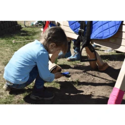 Helga Kreft Schoonmaakhoeven Voor Tuinpaarden 9 Helga Kreft Schoonmaakhoeven Voor Tuinpaarden -Pink or blue helga kreft schoonmaakhoeven voor tuinpaarden a292633 2