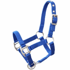 Helga Kreft Tuinpaardenset Tamme, Blauw 11 Helga Kreft Tuinpaardenset Tamme, Blauw -Pink or blue helga kreft tuinpaardenset tamme blauw a325389 4