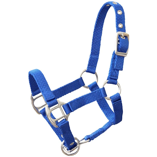 Helga Kreft Tuinpaardenset Tamme, Blauw 7 Helga Kreft Tuinpaardenset Tamme, Blauw - Afbeelding 5