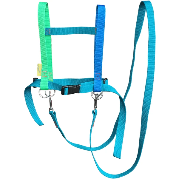 Helga Kreft Zügelmatz Paardenspeellijn, Blauw Gekleurd 5 Helga Kreft Zügelmatz Paardenspeellijn, Blauw Gekleurd - Afbeelding 3