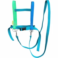 Helga Kreft Zügelmatz Paardenspeellijn, Blauw Gekleurd