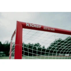 HUDORA ® Voetbaldoelpunt Expert 300 - Kicker-Editie 10 HUDORA ® Voetbaldoelpunt Expert 300 - Kicker-Editie -Pink or blue hudora voetbaldoelpunt expert 300 kicker editie a287944 3
