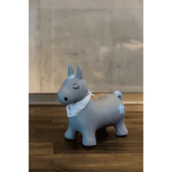 KINDSGUT Springbeest Pony 11 KINDSGUT Springbeest Pony -Pink or blue kindsgut springbeest pony a325199 4