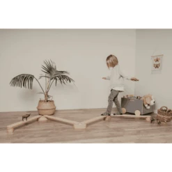 LEG & GO Evenwichtsbalk Set Van 6 -Pink or blue leg go evenwichtsbalk set van 6 a412611 4