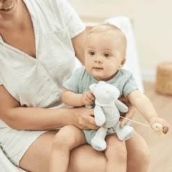 Nattou Romeo, Jules & Sally Mini Muziekdoos Krokodil 11 Nattou Romeo, Jules & Sally Mini Muziekdoos Krokodil -Pink or blue nattou romeo jules amp sally mini muziekdoos krokodil a390986 4