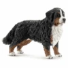SCHLEICH Berner Sennenhond Vrouwelijk 16397 2 SCHLEICH Berner Sennenhond Vrouwelijk 16397 -Pink or blue schleich berner sennenhond vrouwelijk 16397 a091854