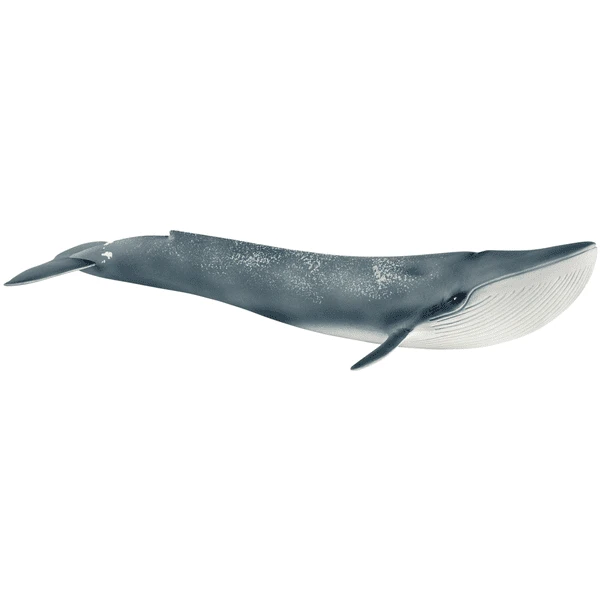 Schleich Blauwe Walvis14806 3 Schleich Blauwe Walvis14806