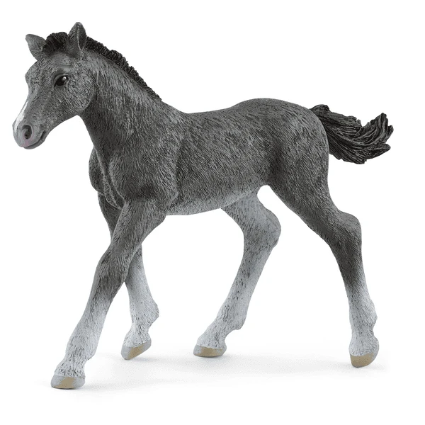 Schleich Trakehner Veulen, 13944 3 Schleich Trakehner Veulen, 13944