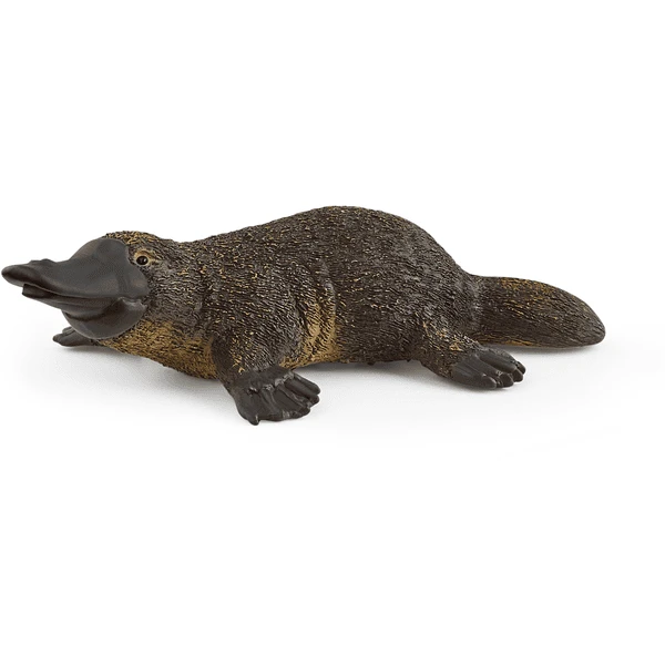 Schleich Wild Life Platypus 14840 3 Schleich Wild Life Platypus 14840