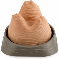 Science Can Opgraving Set Edelstenen "American Wave 9 Science Can Opgraving Set Edelstenen "American Wave -Pink or blue science can opgraving set edelstenen american wave a331162 2