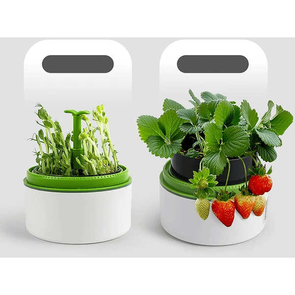 Science Can Plantengroei... Station 6 Science Can Plantengroei... Station - Afbeelding 4