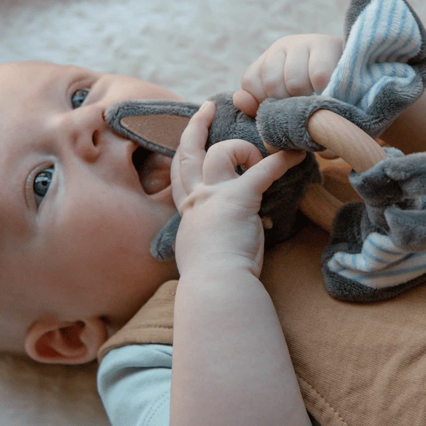 Tryco Pluche Speen Met Rammelaar - Bruce Vleermuis 4 Tryco Pluche Speen Met Rammelaar - Bruce Vleermuis - Afbeelding 2